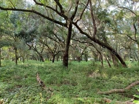 待售: $599,900 (20.86 acres)