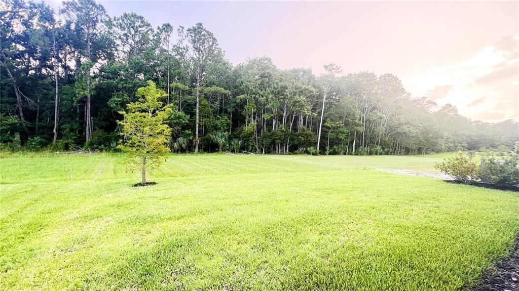 For Sale: $634,900 (5 beds, 4 baths, 3454 Square Feet)