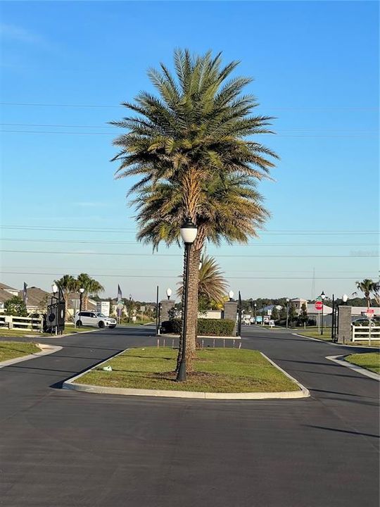 出租: $2,750 (5 贝兹, 3 浴室, 2605 平方英尺)