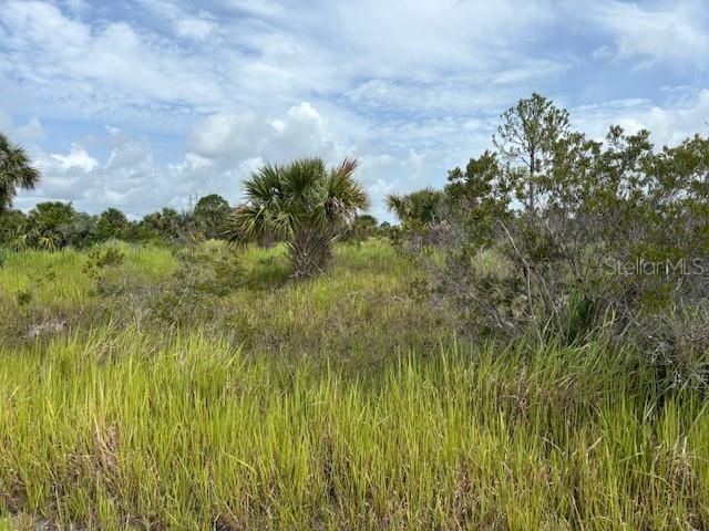 На продажу: $14,450 (0.23 acres)