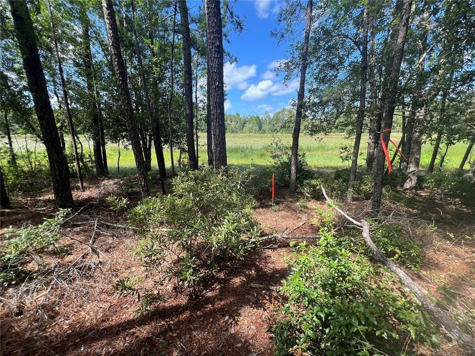 Activo con contrato: $44,000 (2.98 acres)