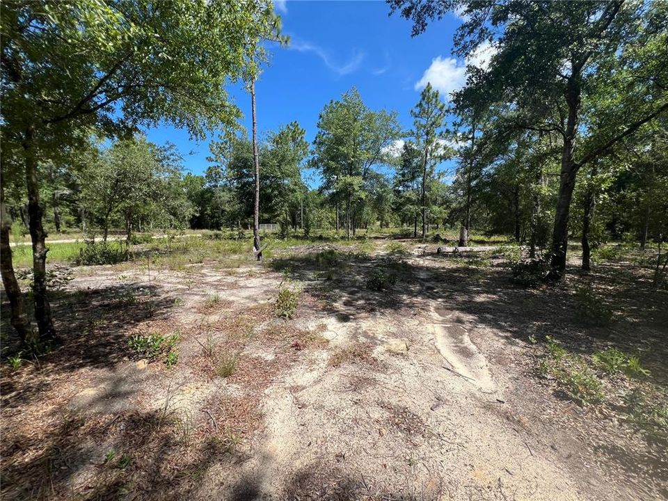 Activo con contrato: $44,000 (2.98 acres)