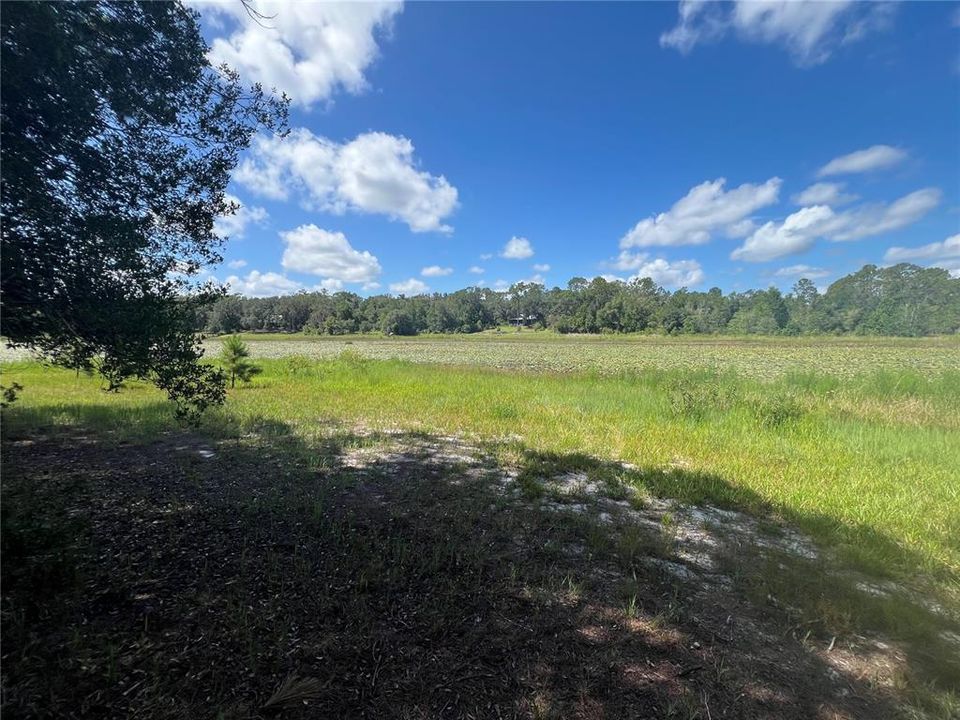 Activo con contrato: $44,000 (2.98 acres)