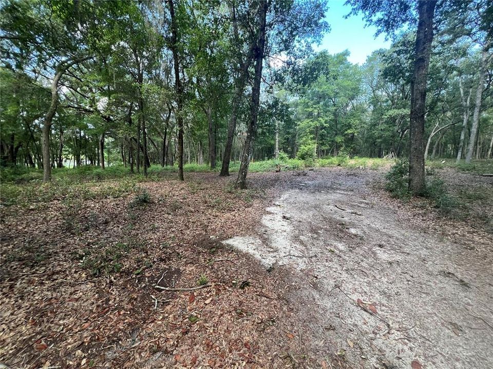 Activo con contrato: $44,000 (2.98 acres)
