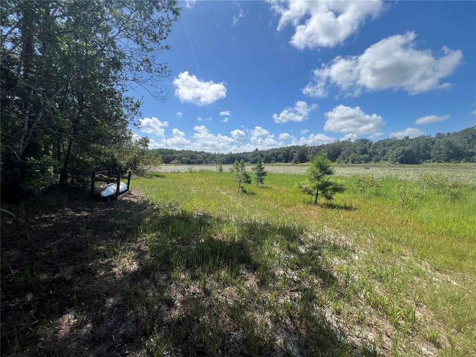 Activo con contrato: $44,000 (2.98 acres)