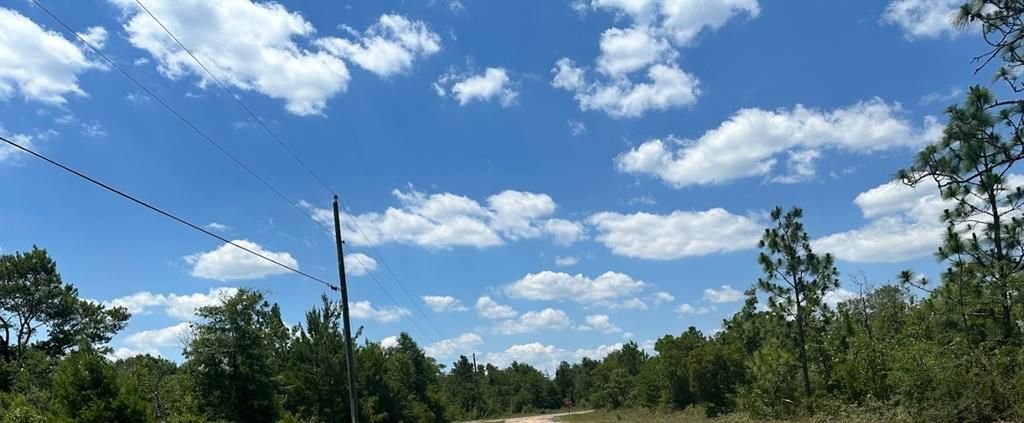 For Sale: $13,000 (0.24 acres)