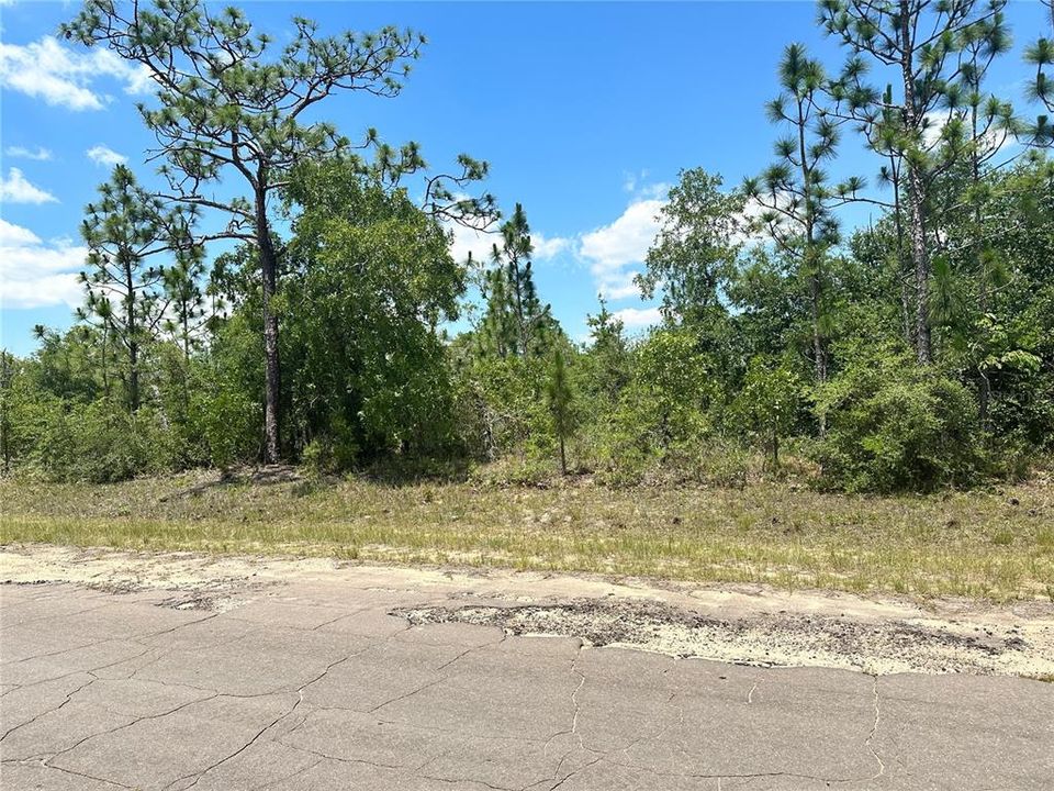 For Sale: $13,000 (0.24 acres)