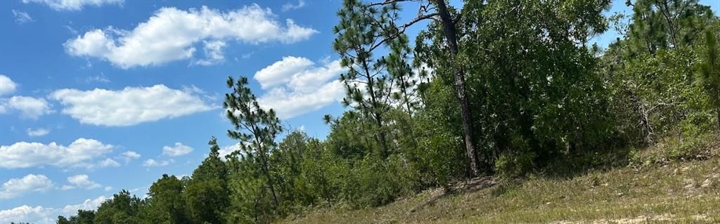 For Sale: $13,000 (0.24 acres)