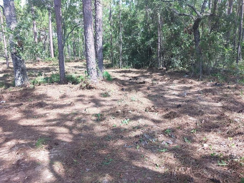 For Sale: $339,000 (5.10 acres)