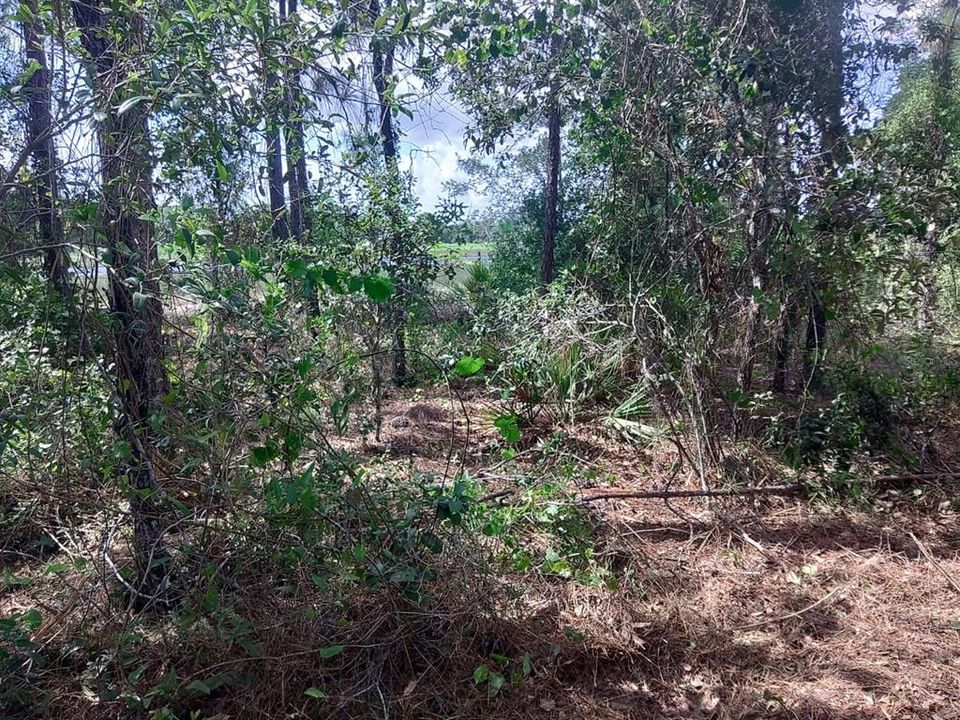 For Sale: $339,000 (5.10 acres)