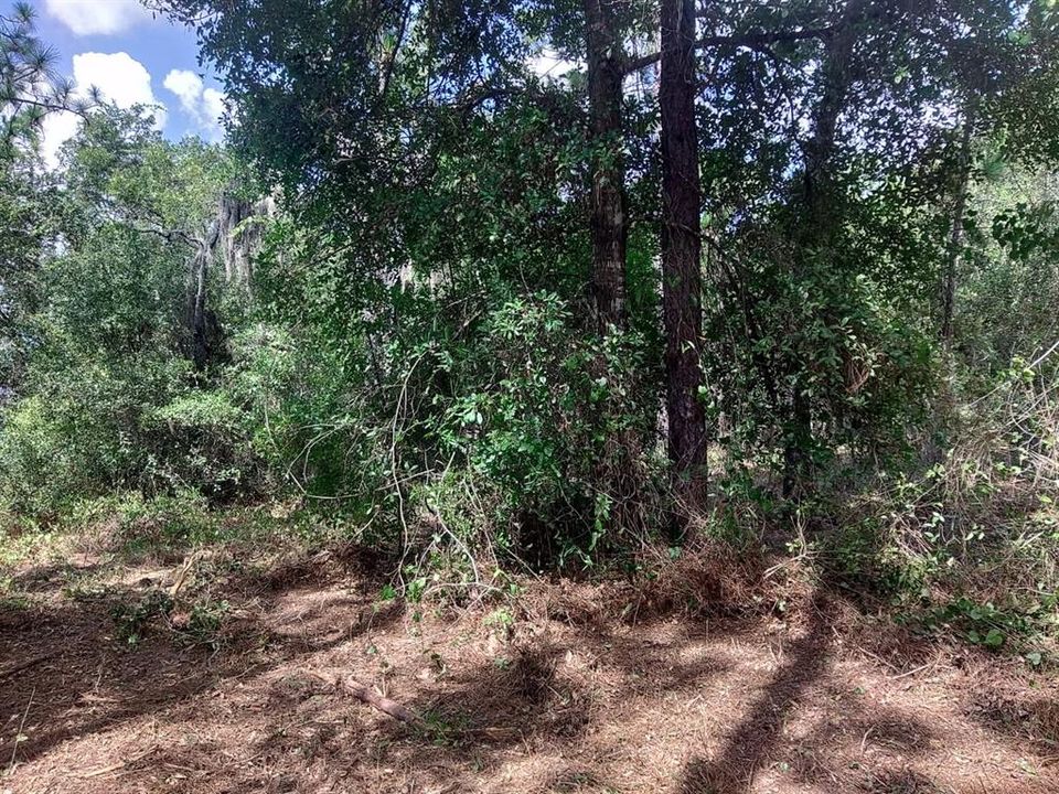 For Sale: $339,000 (5.10 acres)