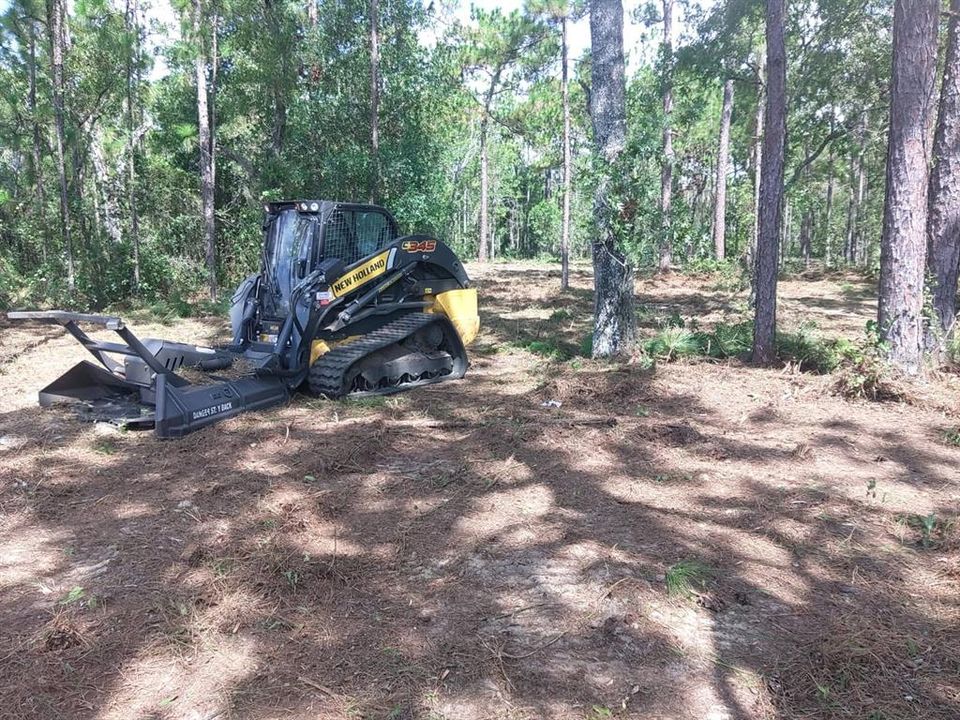 For Sale: $339,000 (5.10 acres)