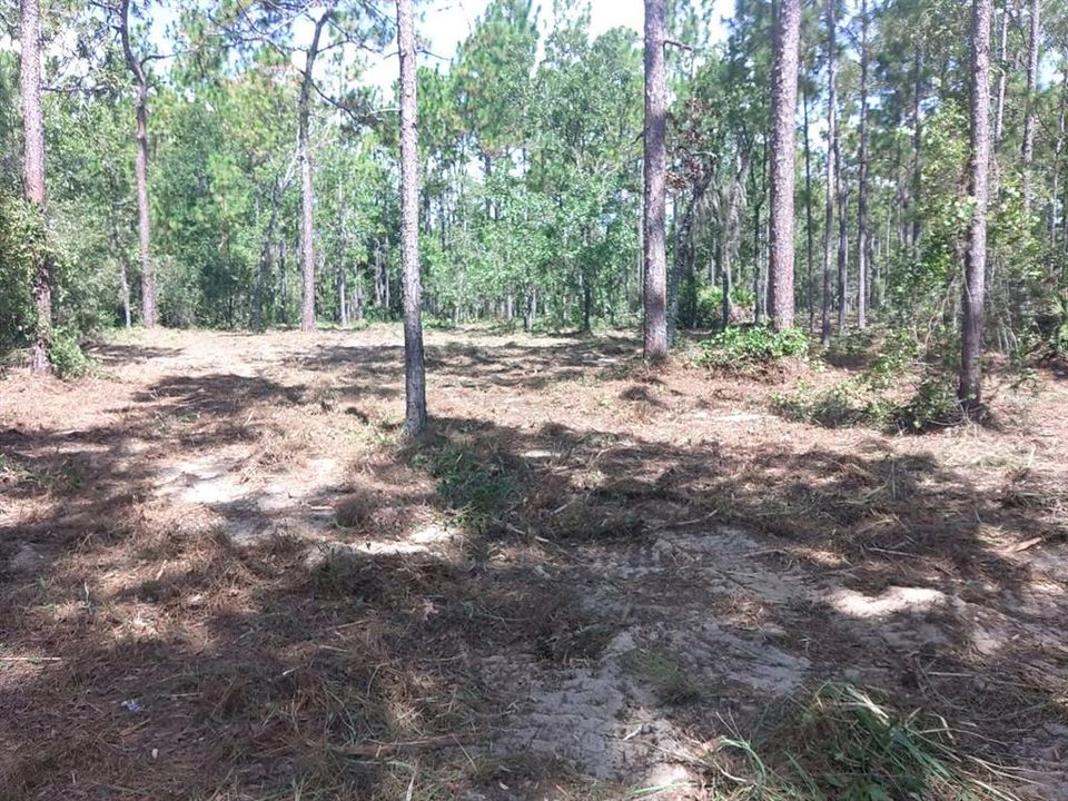 For Sale: $339,000 (5.10 acres)