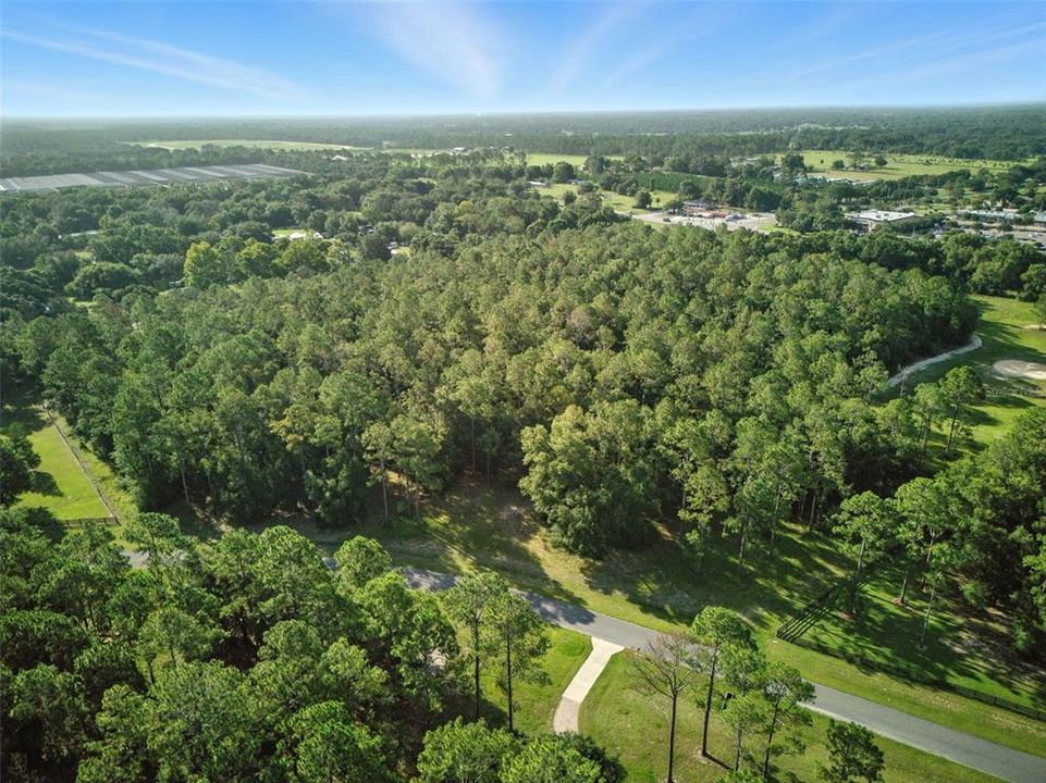 待售: $699,000 (10.30 acres)