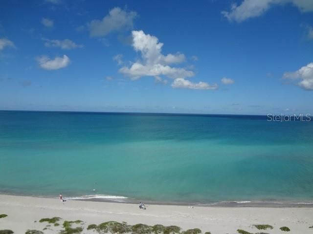 出租: $7,000 (2 贝兹, 2 浴室, 1284 平方英尺)