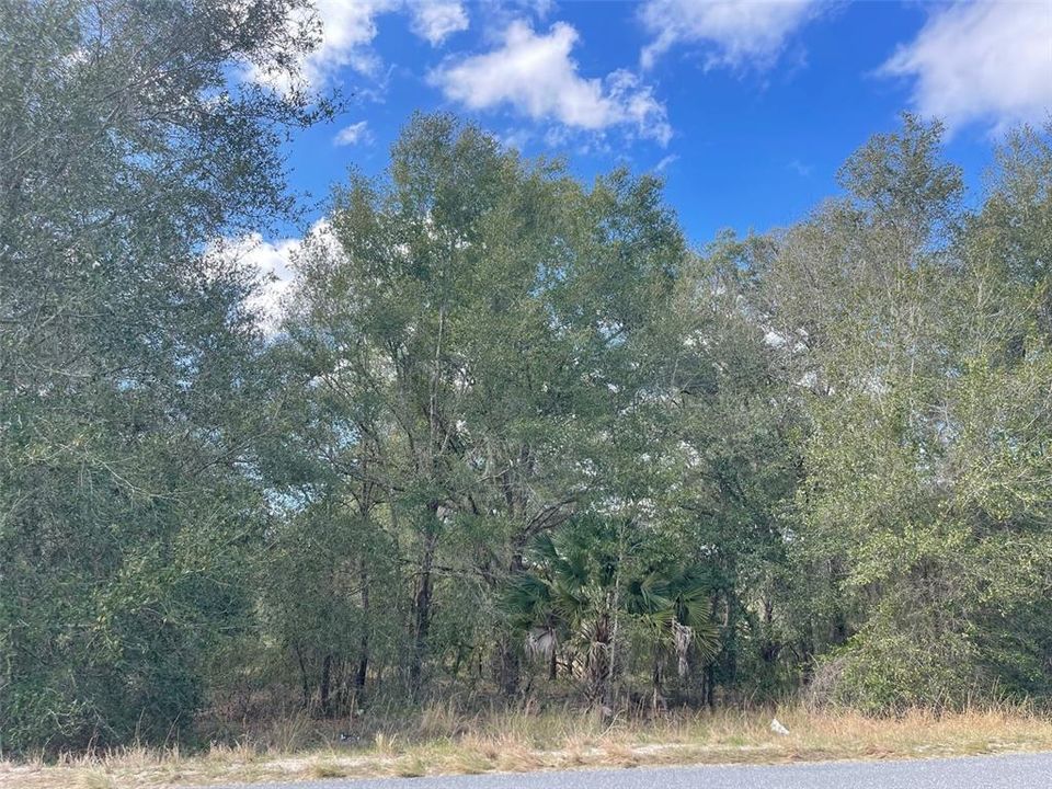 На продажу: $3,800,000 (60.00 acres)