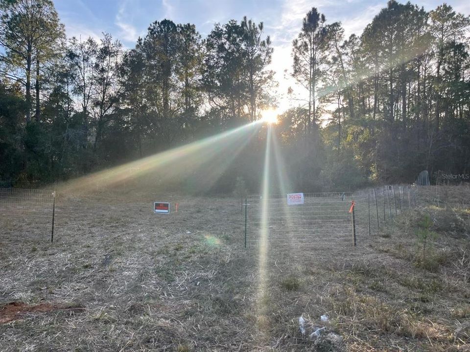 Недавно продано: $12,500 (0.26 acres)