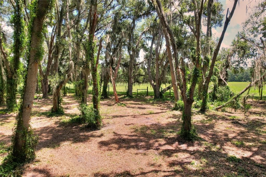 Active With Contract: $555,000 (3 beds, 2 baths, 2805 Square Feet)