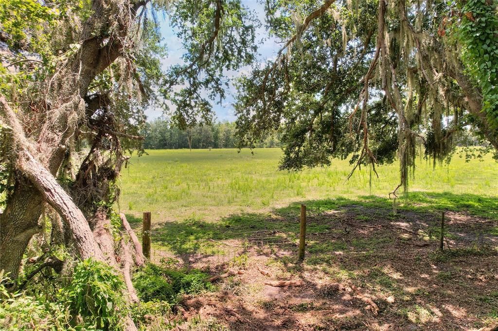 Active With Contract: $555,000 (3 beds, 2 baths, 2805 Square Feet)