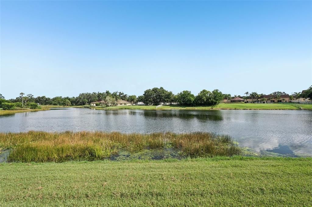 待售: $91,000 (1 贝兹, 1 浴室, 800 平方英尺)