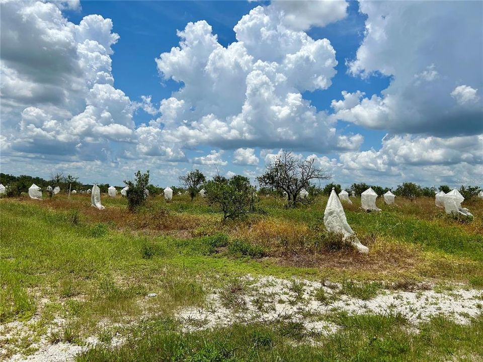 Recently Sold: $679,000 (57.00 acres)