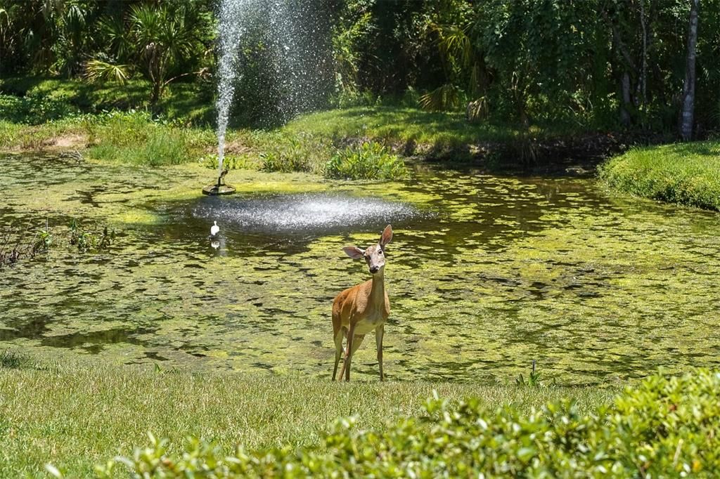 合同活跃: $769,000 (3 贝兹, 2 浴室, 2414 平方英尺)