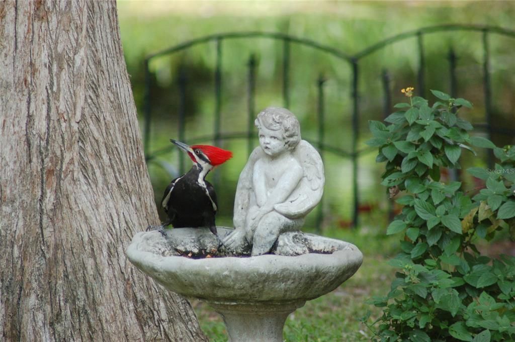 На продажу: $309,000 (2 спален, 1 ванн, 1281 Квадратных фут)