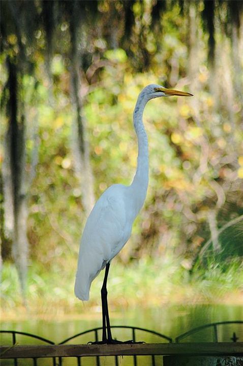На продажу: $309,000 (2 спален, 1 ванн, 1281 Квадратных фут)