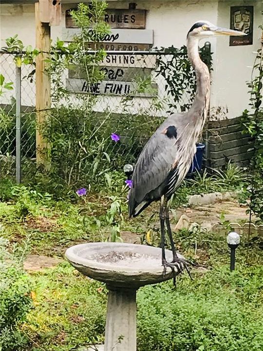 На продажу: $309,000 (2 спален, 1 ванн, 1281 Квадратных фут)