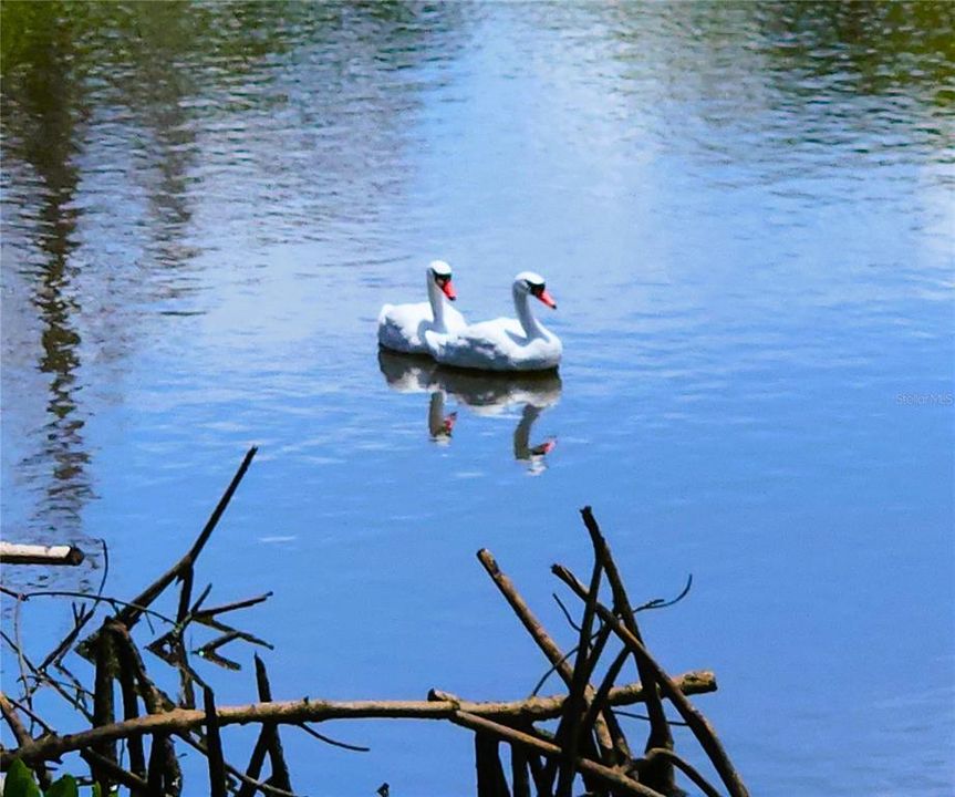 For Sale: $94,950 (1 beds, 1 baths, 410 Square Feet)