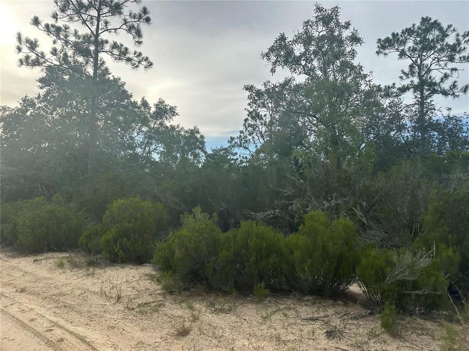 На продажу: $18,993 (1.25 acres)