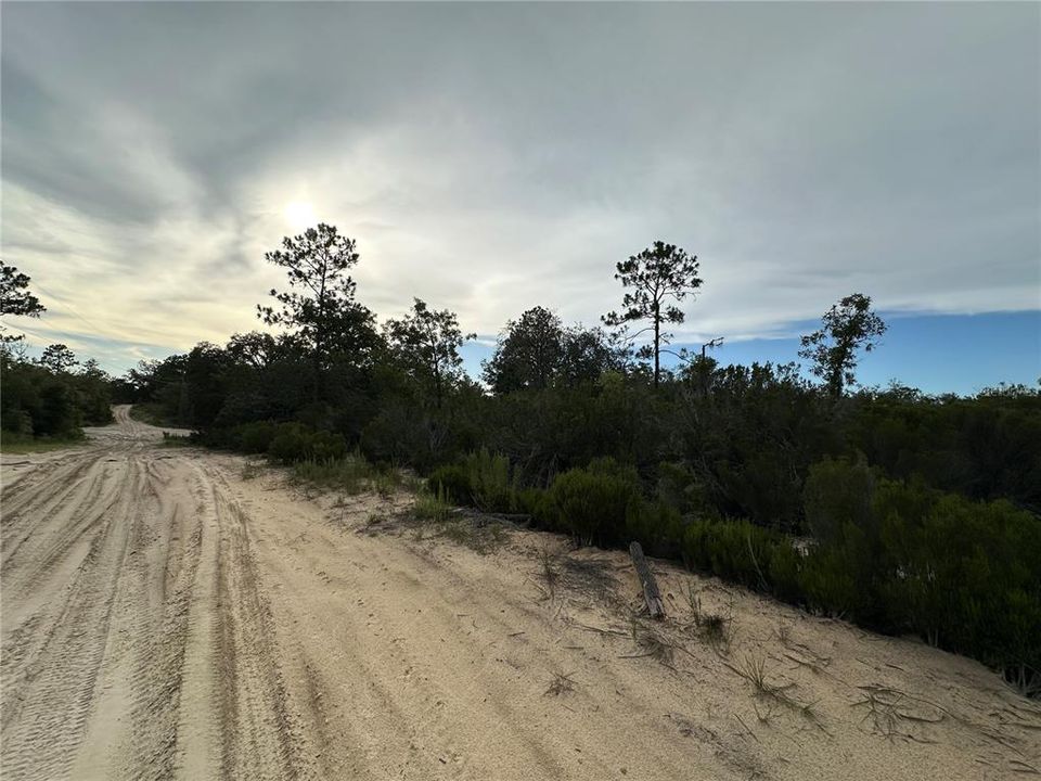 На продажу: $18,993 (1.25 acres)