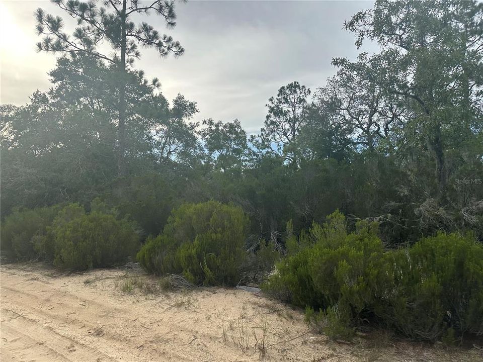 На продажу: $18,993 (1.25 acres)