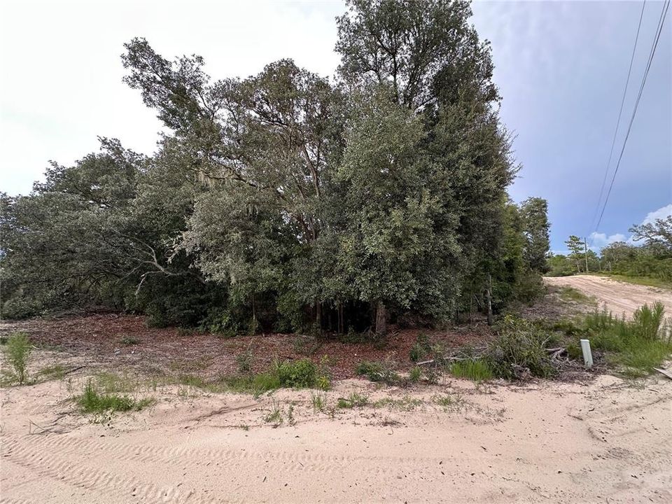 На продажу: $18,993 (1.25 acres)