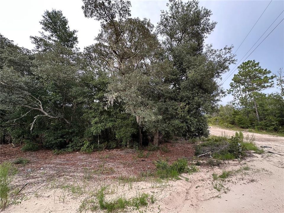 На продажу: $18,993 (1.25 acres)