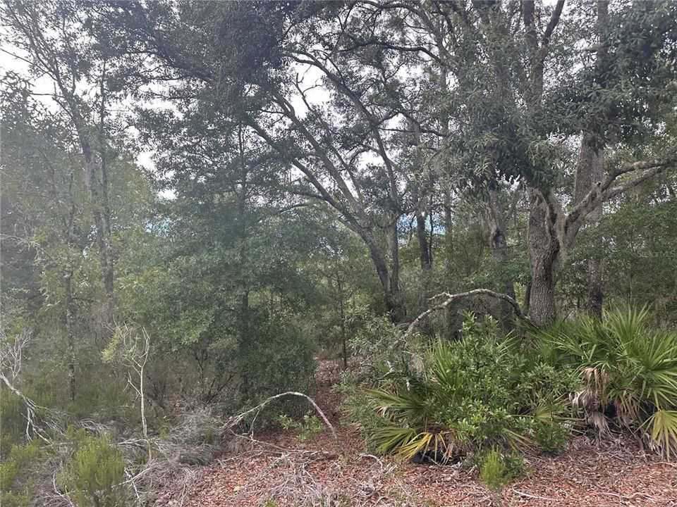 На продажу: $18,993 (1.25 acres)