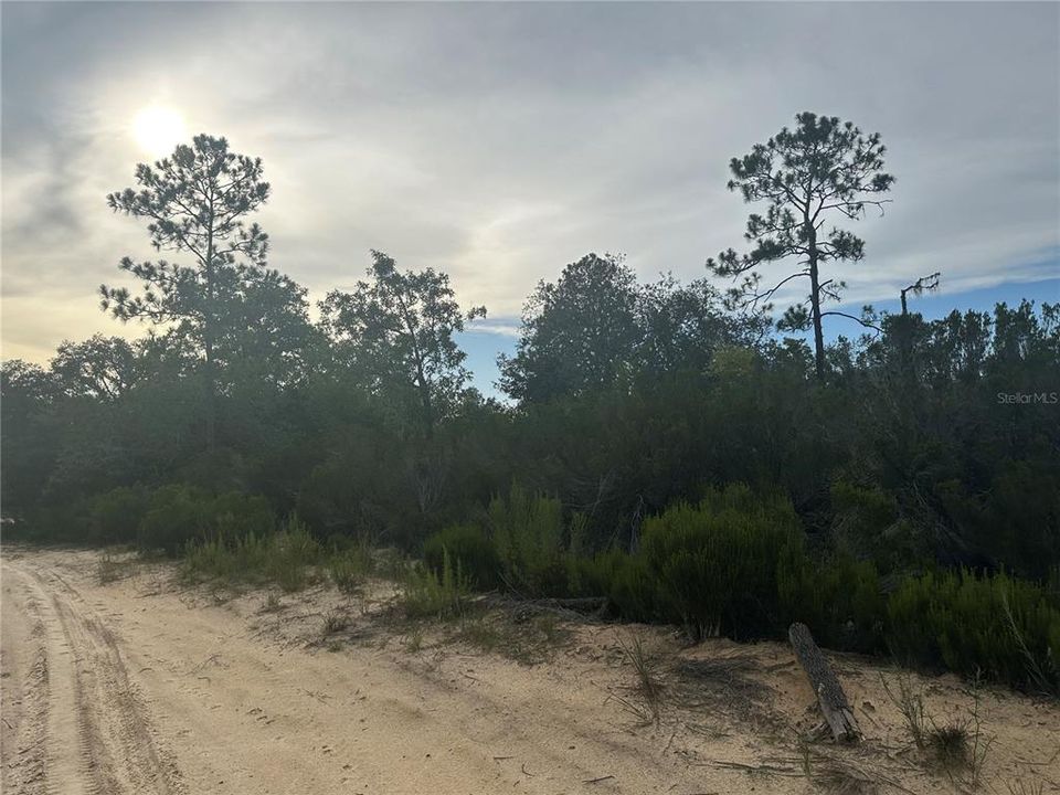 На продажу: $18,993 (1.25 acres)