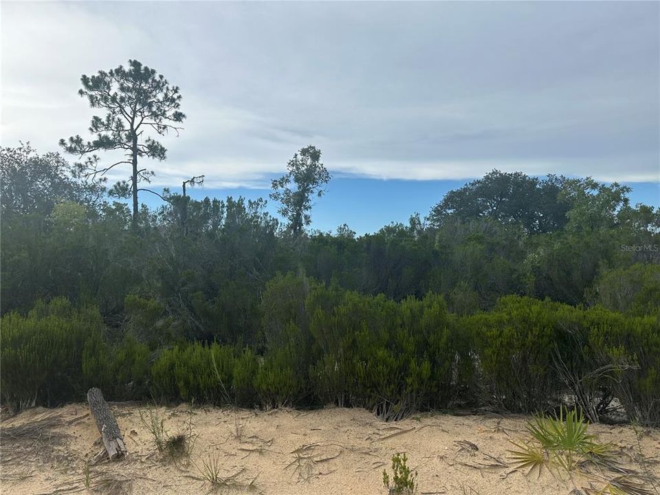 На продажу: $18,993 (1.25 acres)