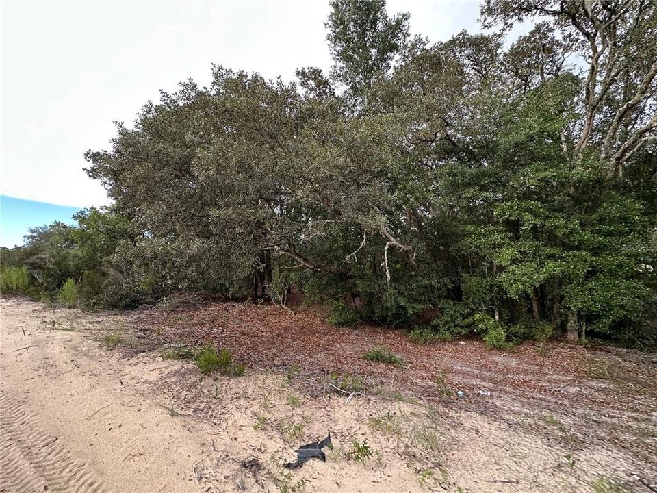 На продажу: $18,993 (1.25 acres)