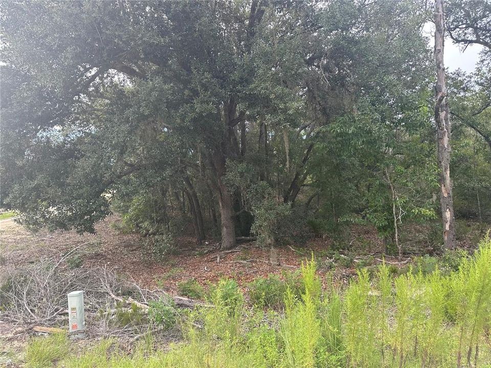 На продажу: $18,993 (1.25 acres)