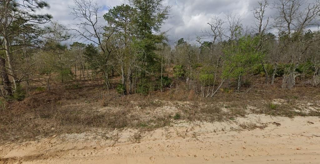 For Sale: $6,000 (0.22 acres)