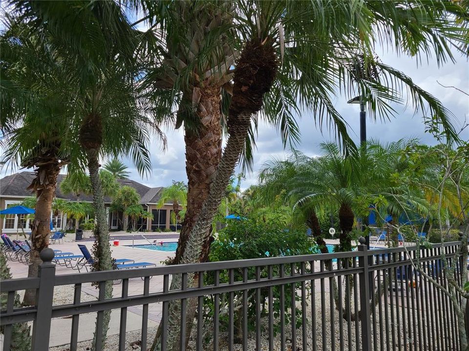 Active With Contract: $1,800 (1 beds, 1 baths, 732 Square Feet)