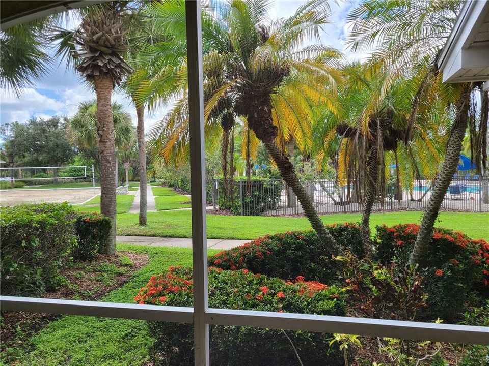 Active With Contract: $1,800 (1 beds, 1 baths, 732 Square Feet)