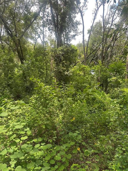 待售: $449,000 (3.36 acres)