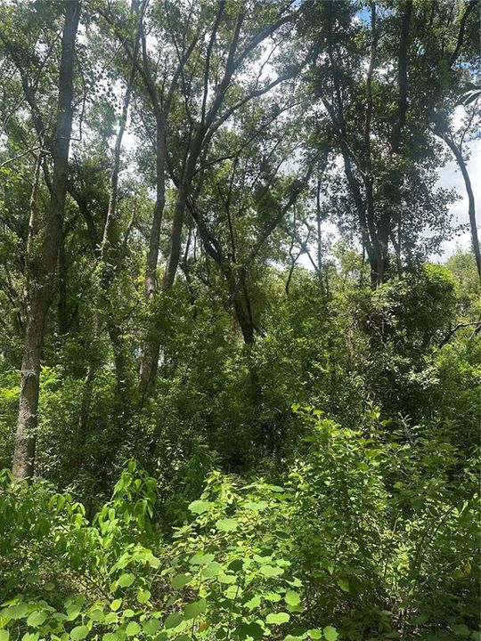 待售: $449,000 (3.36 acres)