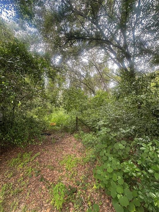 待售: $449,000 (3.36 acres)