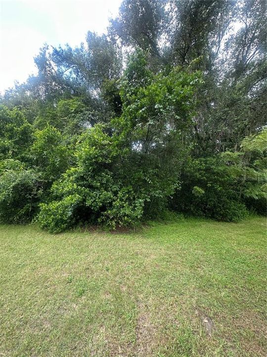 待售: $449,000 (3.36 acres)