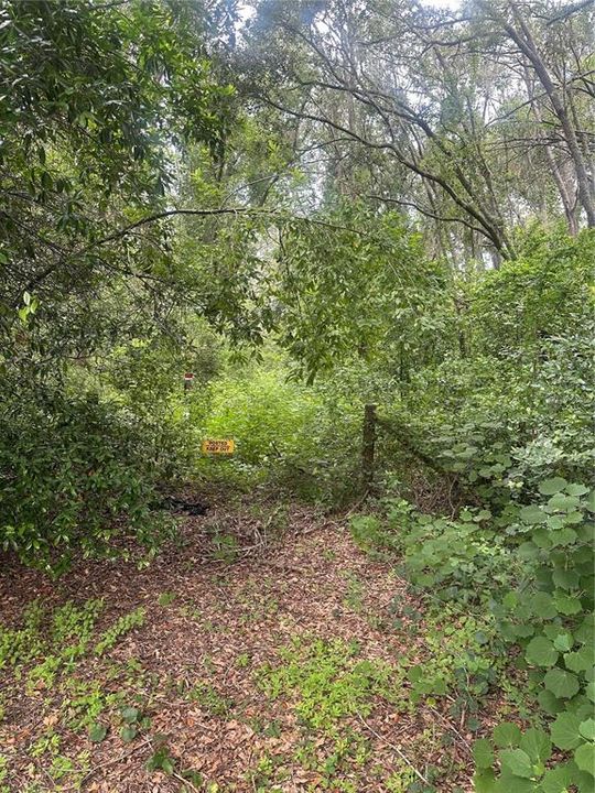 待售: $449,000 (3.36 acres)