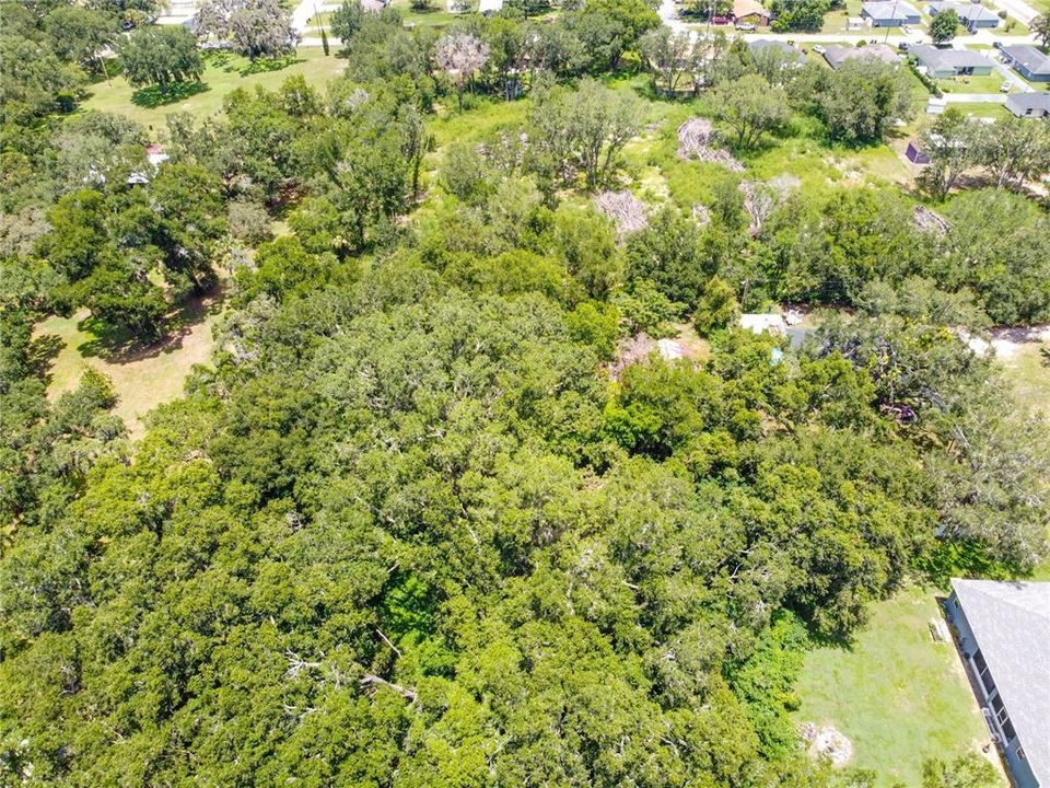 待售: $100,000 (1.04 acres)