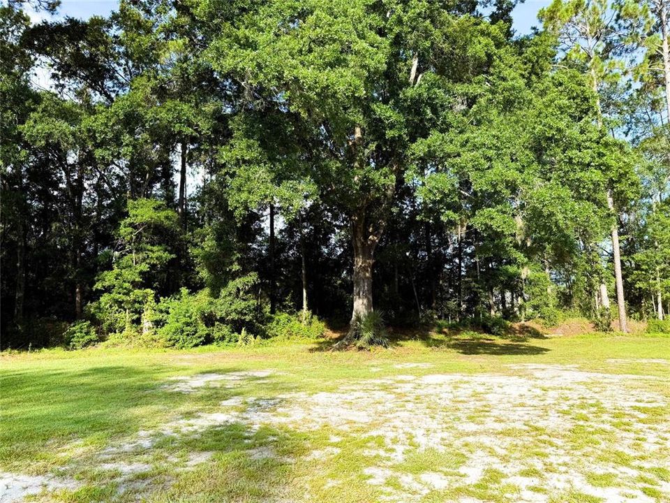 На продажу: $299,900 (3 спален, 2 ванн, 1756 Квадратных фут)